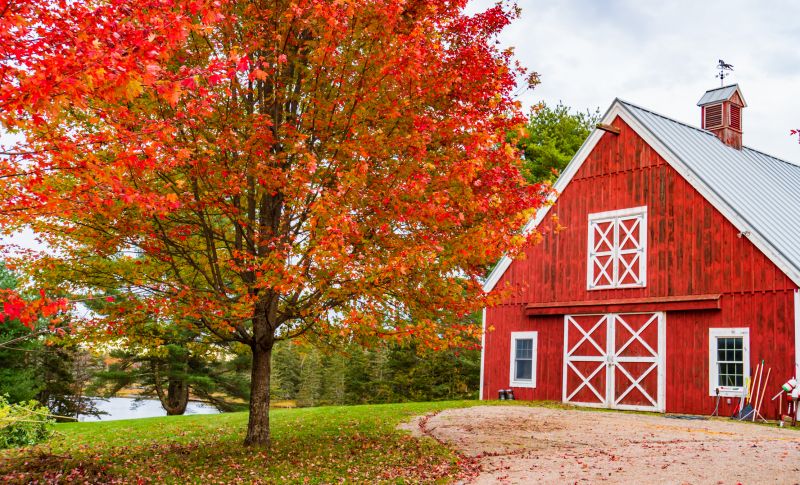 Barn Installation in Wilmington, NC