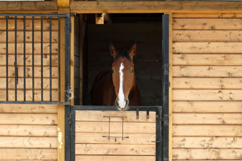 Horse Shelter Construction in Wilmington, NC