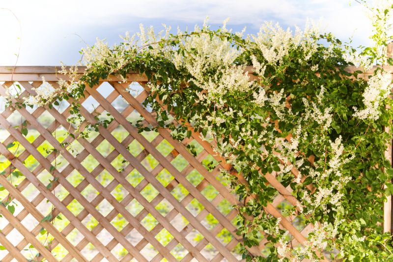 Wood Trellis Installation in Conroe, TX